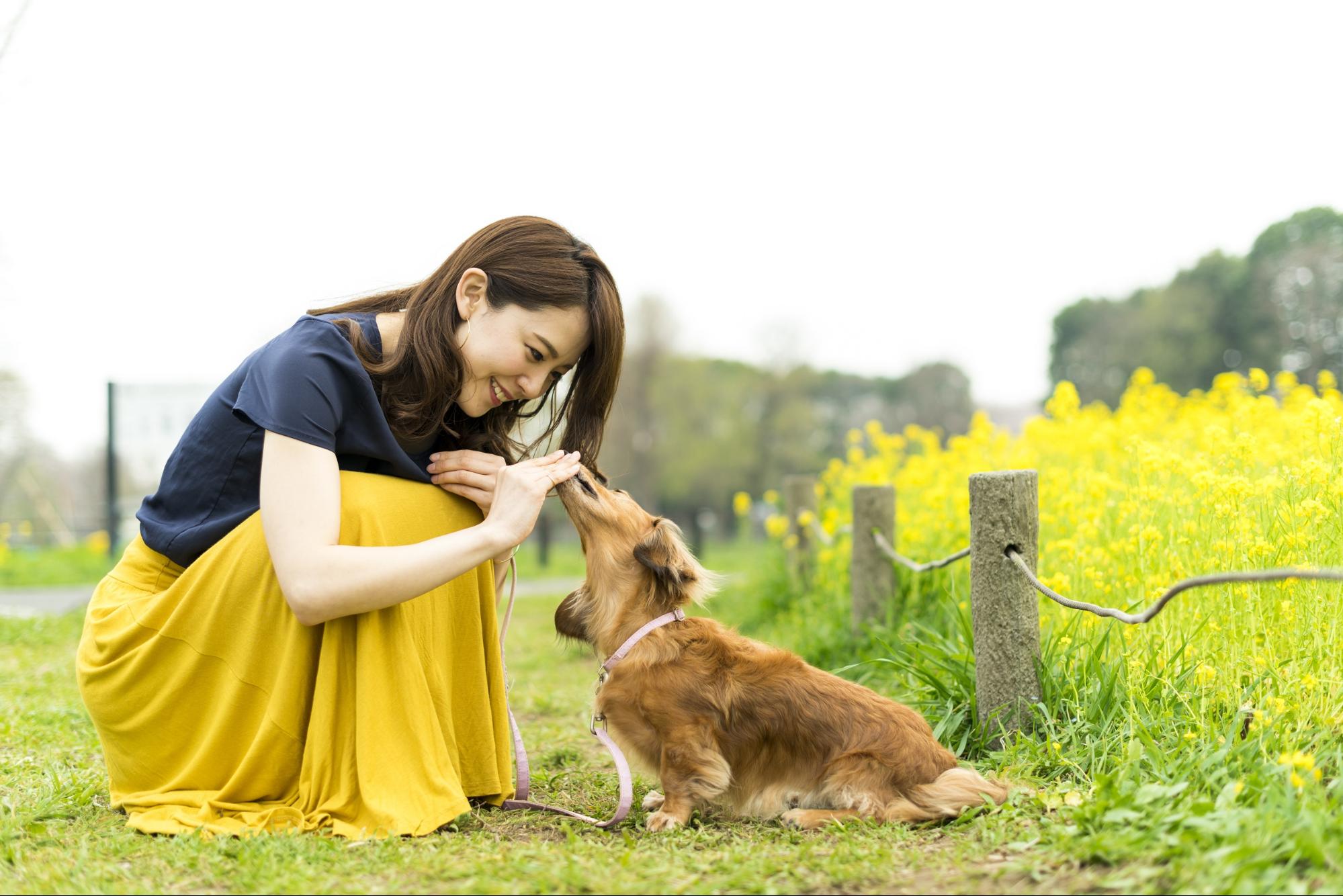 動物 に 好 かれる 人 診断